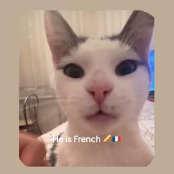 French Cat, Jynxzi Cat