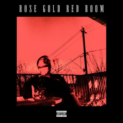 Rose Gold Red Room