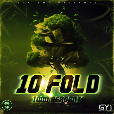 10 Fold