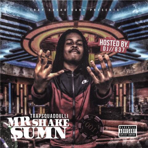 Mr. Shake Sumn
