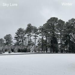 Winter VIII