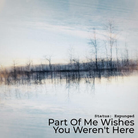 Part Of Me Wishes You Weren't Here