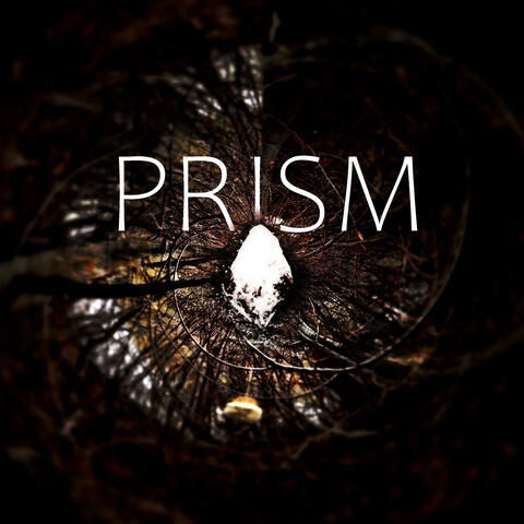 Prism