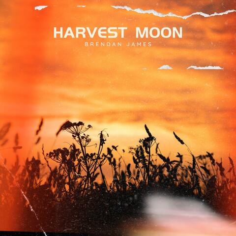 Harvest Moon