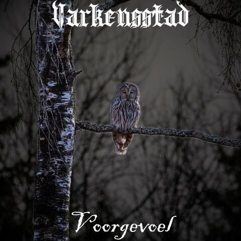 Voorgevoel
