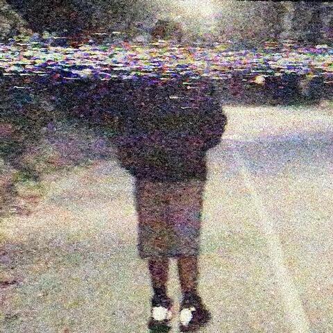Early Bird