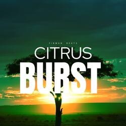 Citrus Burst