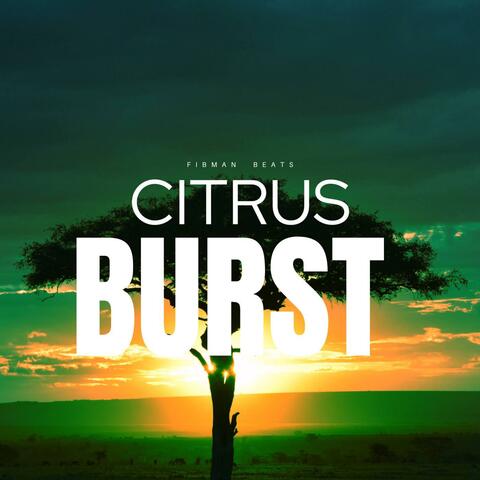 Citrus Burst