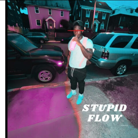 Stupid Flow