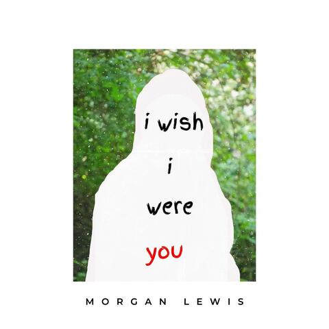 i wish i were you