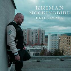Mockingbird