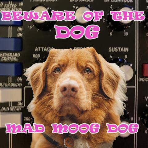 Beware Of The Dog