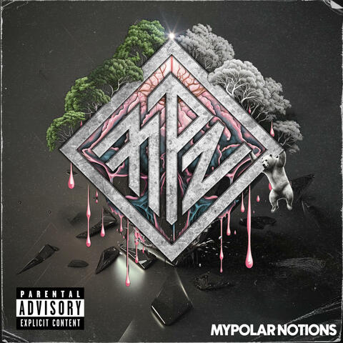 MyPolar Notions