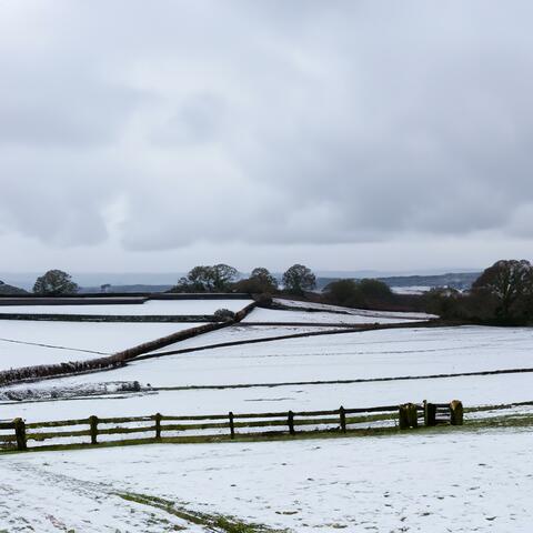 Winter's End
