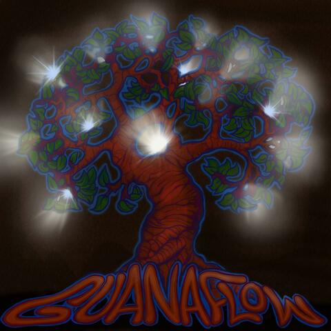 Guanaflow