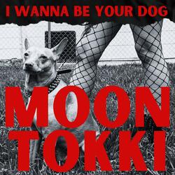 I Wanna Be Your Dog