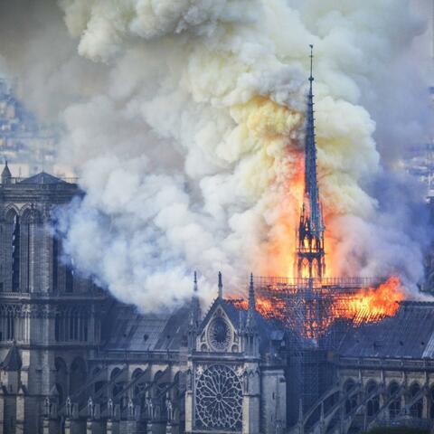 notredame