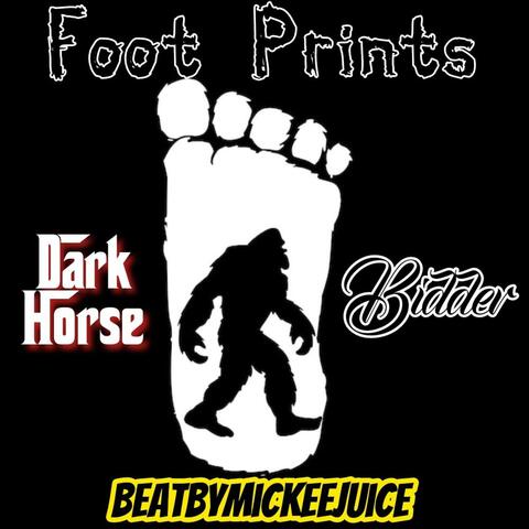 FootPrints (feat. DarkHorse & BeatBy MickeeJuice)