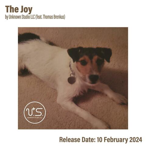 The Joy (feat. Thomas Brenkus)