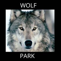 WOLF PARK (feat. D.I.P)