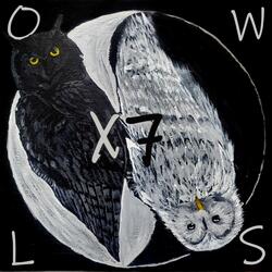 Owls (feat. Punkrockpearl)