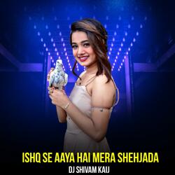 Isq Se Aaya Hai Mera Shehjada