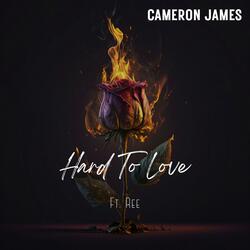 Hard To Love (feat. Ree)