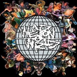 I lost my wallet in sippington city