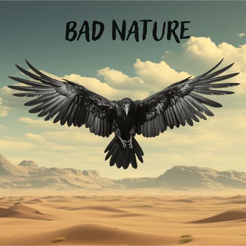 Ravens