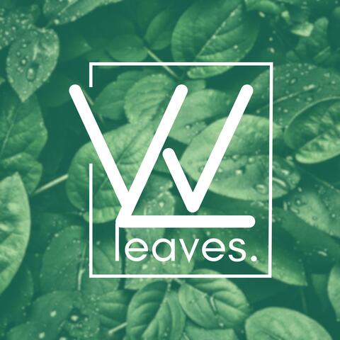 leaves.