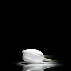 Last hope