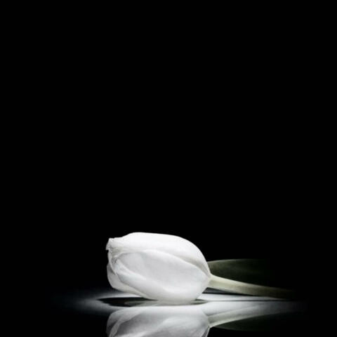 Last hope