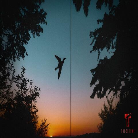 Sunset Bounce
