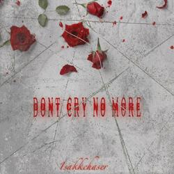 Don't Cry No More