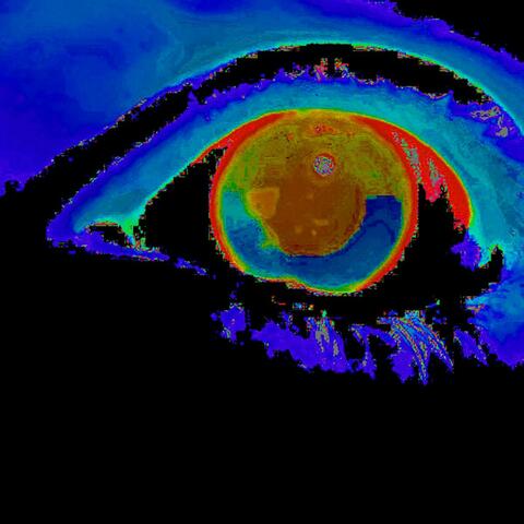 Insomnia Nights Writings