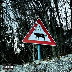 Killer delle campagne
