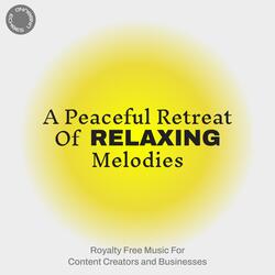 Soundscapes Of Mind (Handpan Melodies for a Calm Retreat)