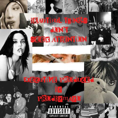 Beautiful Things Don't Seek Attention