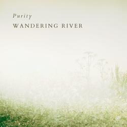 Purity