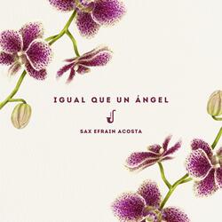 Igual Que Un Ángel