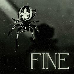 Fine