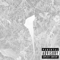 i should call her...