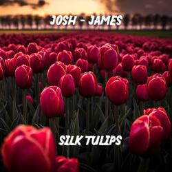 SILK TULIPS