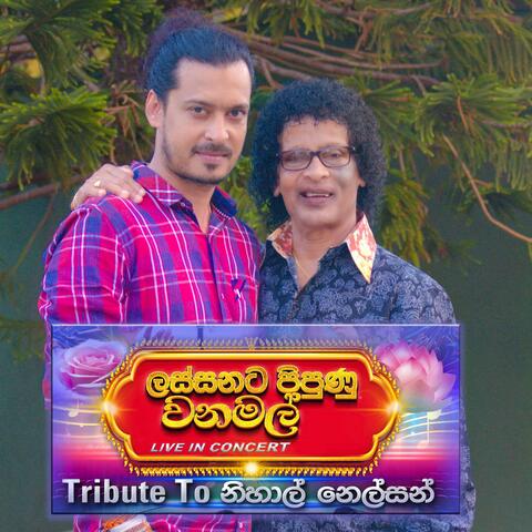 ලස්සනට පිපුණු වනමල් Tribute To Nihal Nelson