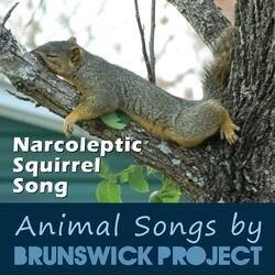 Narcoleptic Squirrel Song