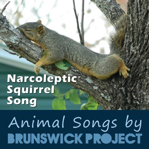 Narcoleptic Squirrel Song