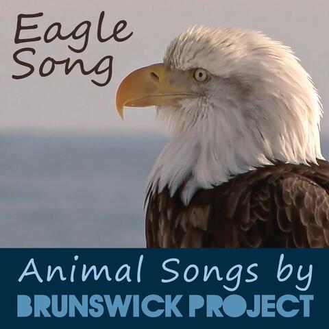 Eagle Eyes