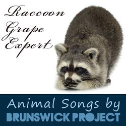Raccoon Grape Expert