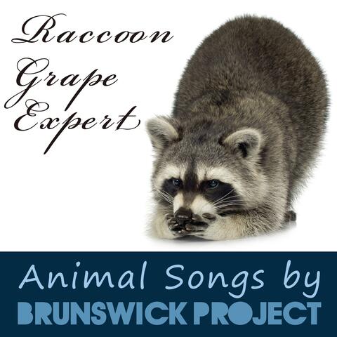 Raccoon Grape Expert