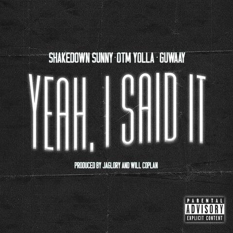 Yeah, I said It (feat. otm yolla & guwaay)